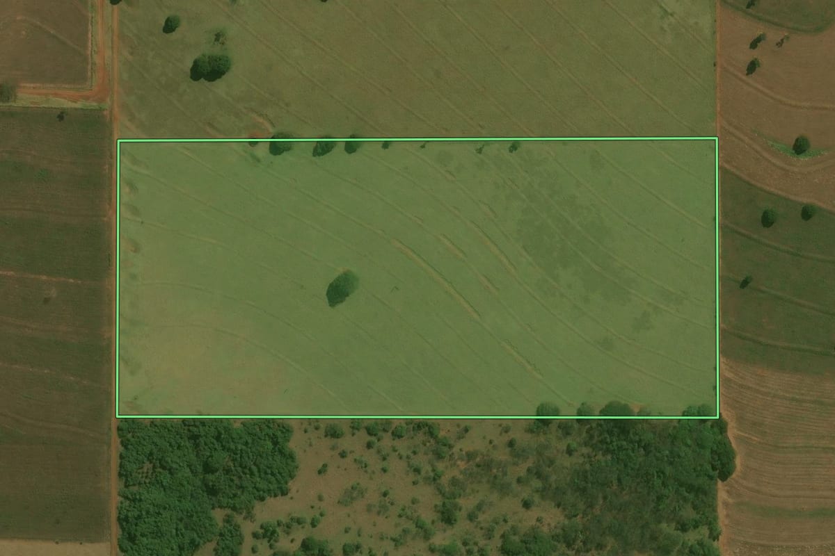 Imagem de satélite do imóvel rural em Paranavaí (PR), com o contorno declarado no CAR desenhado por cima.