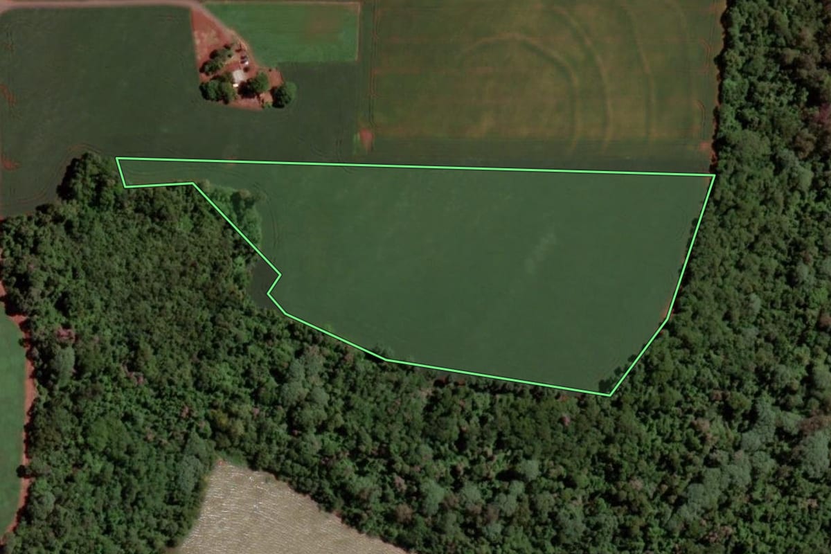 Imagem de satélite do imóvel rural em Pato Bragado (PR), com o contorno declarado no CAR desenhado por cima.
