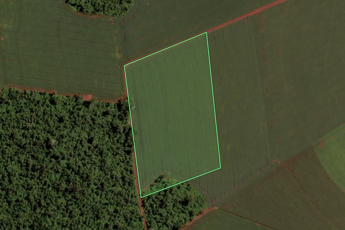 Imagem de satélite do imóvel rural em Pato Bragado (PR), com o contorno declarado no CAR desenhado por cima.