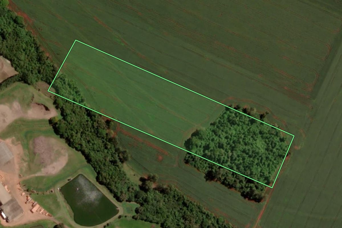 Imagem de satélite do imóvel rural em Pato Bragado (PR), com o contorno declarado no CAR desenhado por cima.