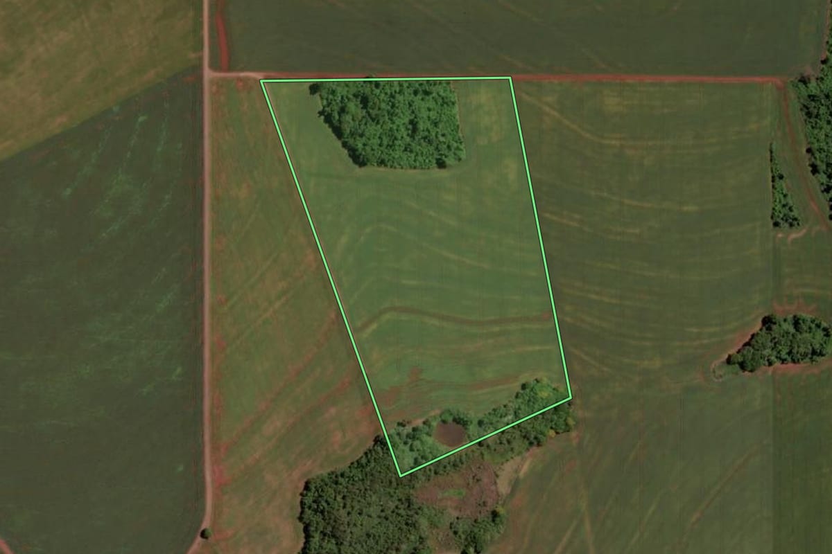 Imagem de satélite do imóvel rural em Pato Bragado (PR), com o contorno declarado no CAR desenhado por cima.