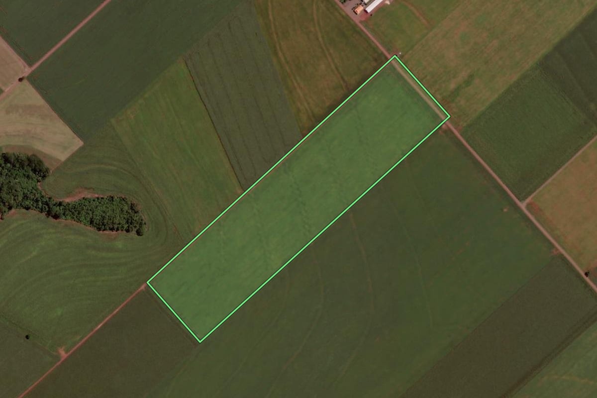 Imagem de satélite do imóvel rural em Pato Bragado (PR), com o contorno declarado no CAR desenhado por cima.