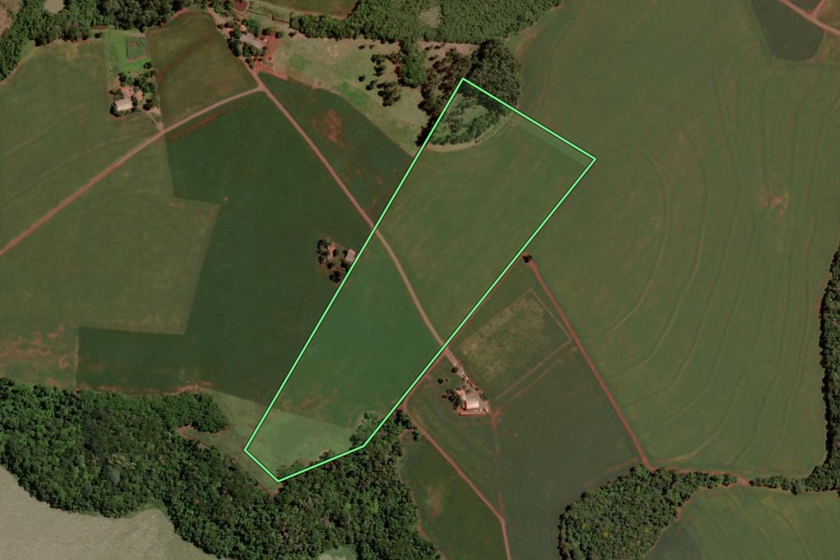 Imagem de satélite do imóvel rural em Pato Bragado (PR), com o contorno declarado no CAR desenhado por cima.