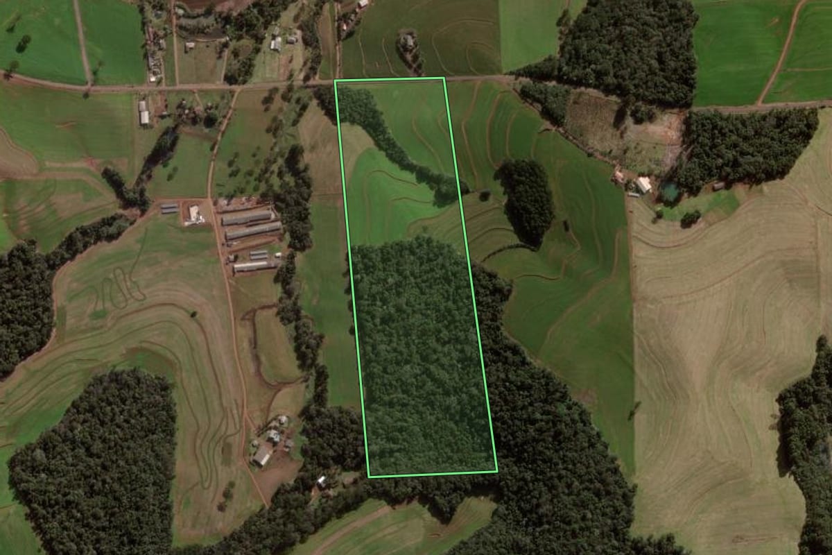Imagem de satélite do imóvel rural em Pato Branco (PR), com o contorno declarado no CAR desenhado por cima.