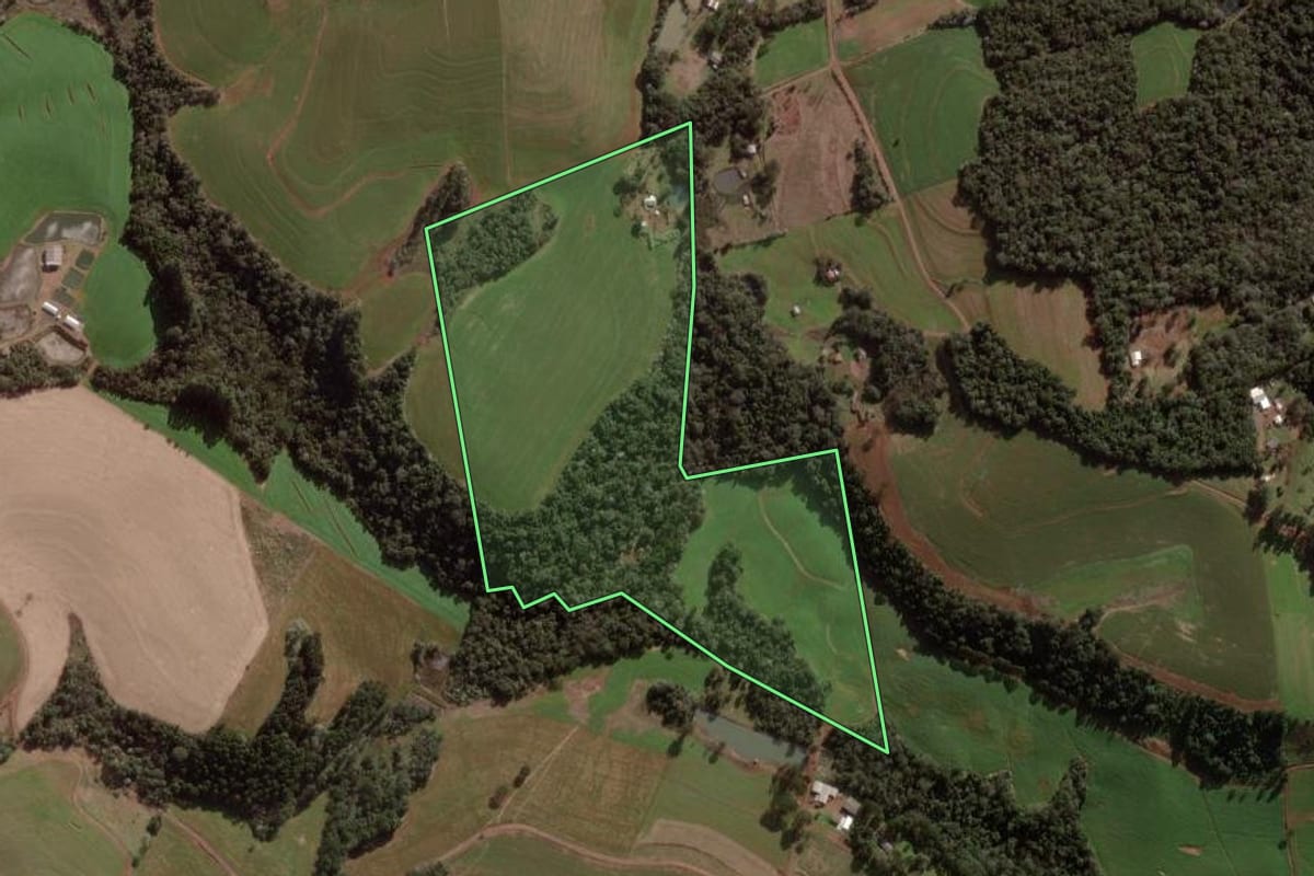 Imagem de satélite do imóvel rural em Pato Branco (PR), com o contorno declarado no CAR desenhado por cima.