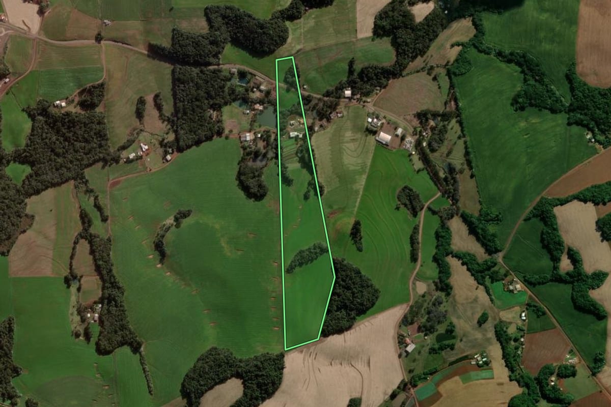 Imagem de satélite do imóvel rural em Pato Branco (PR), com o contorno declarado no CAR desenhado por cima.