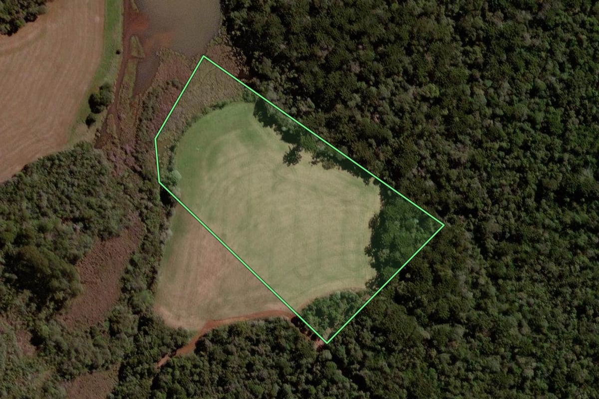 Imagem de satélite do imóvel rural em Pato Branco (PR), com o contorno declarado no CAR desenhado por cima.