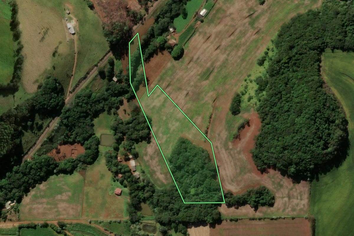 Imagem de satélite do imóvel rural em Pato Branco (PR), com o contorno declarado no CAR desenhado por cima.