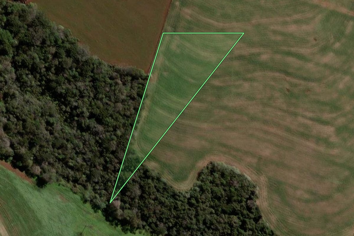 Imagem de satélite do imóvel rural em Pato Branco (PR), com o contorno declarado no CAR desenhado por cima.