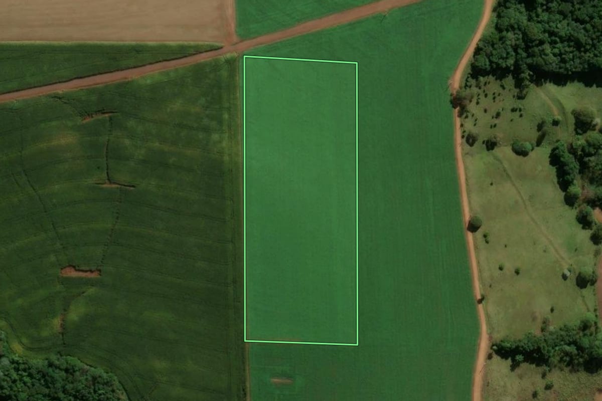 Imagem de satélite do imóvel rural em Pato Branco (PR), com o contorno declarado no CAR desenhado por cima.