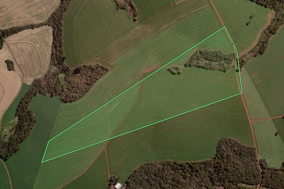 Imagem de satélite do imóvel rural em Pato Branco (PR), com o contorno declarado no CAR desenhado por cima.