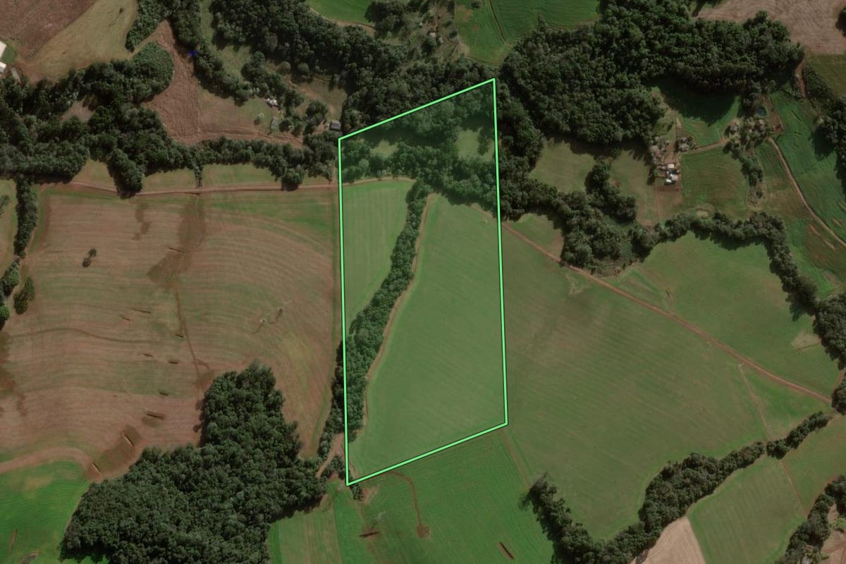 Imagem de satélite do imóvel rural em Pato Branco (PR), com o contorno declarado no CAR desenhado por cima.