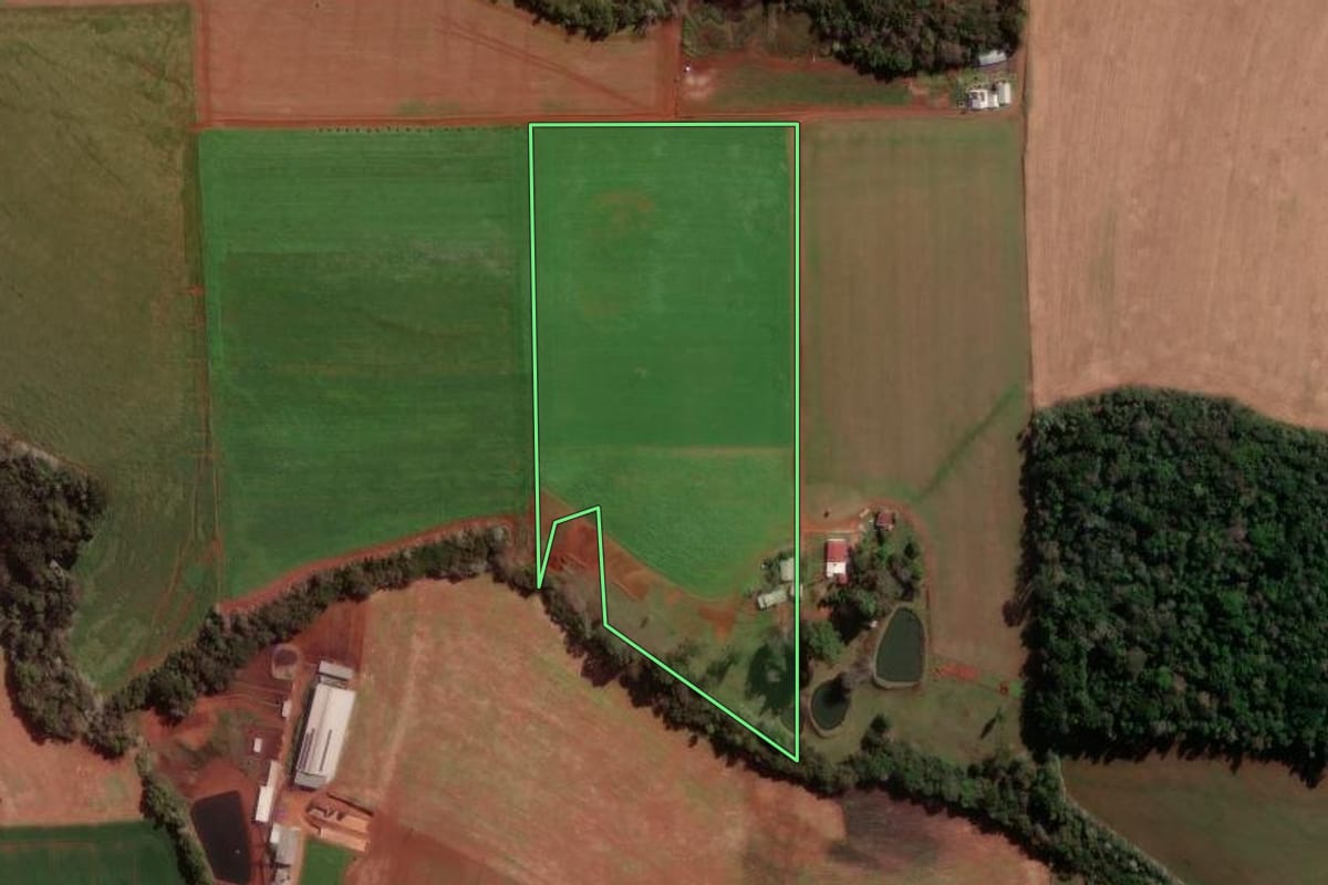 Imagem de satélite do imóvel rural em Pato Branco (PR), com o contorno declarado no CAR desenhado por cima.