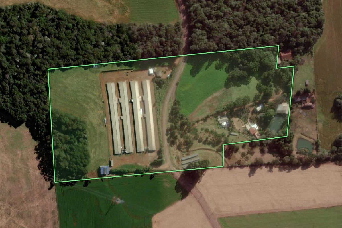 Imagem de satélite do imóvel rural em Pato Branco (PR), com o contorno declarado no CAR desenhado por cima.