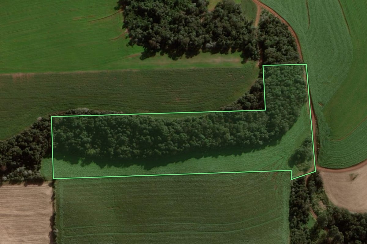Imagem de satélite do imóvel rural em Pato Branco (PR), com o contorno declarado no CAR desenhado por cima.