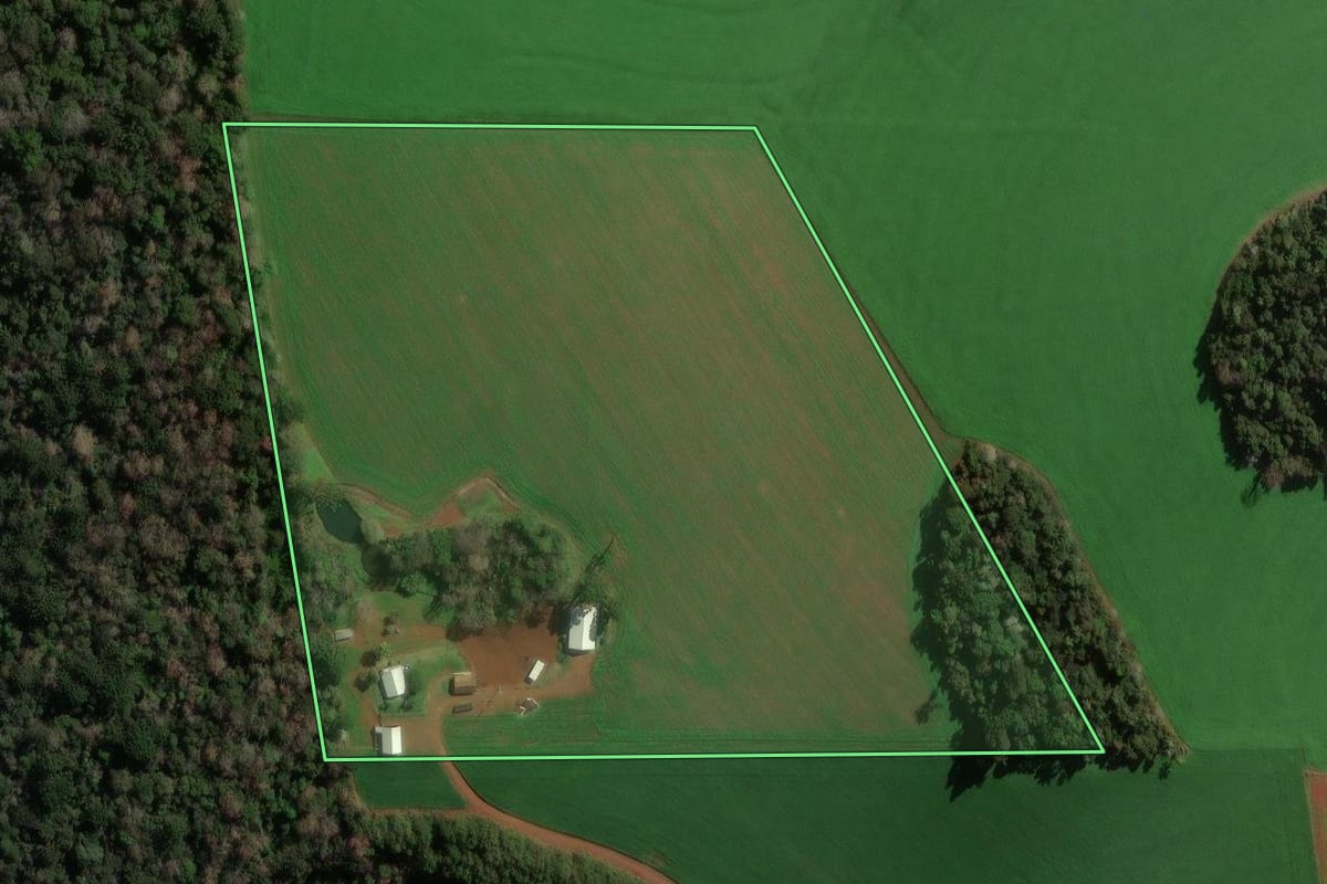 Imagem de satélite do imóvel rural em Pato Branco (PR), com o contorno declarado no CAR desenhado por cima.
