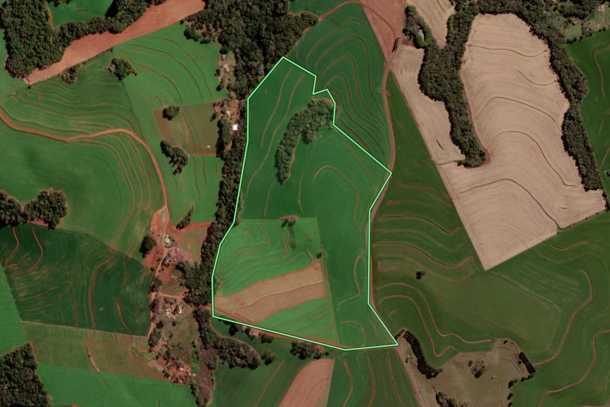 Imagem de satélite do imóvel rural em Pato Branco (PR), com o contorno declarado no CAR desenhado por cima.