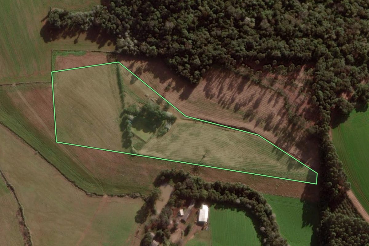 Imagem de satélite do imóvel rural em Pato Branco (PR), com o contorno declarado no CAR desenhado por cima.