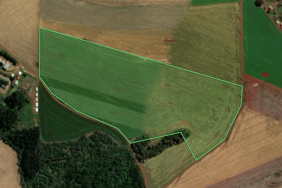 Imagem de satélite do imóvel rural em Pato Branco (PR), com o contorno declarado no CAR desenhado por cima.