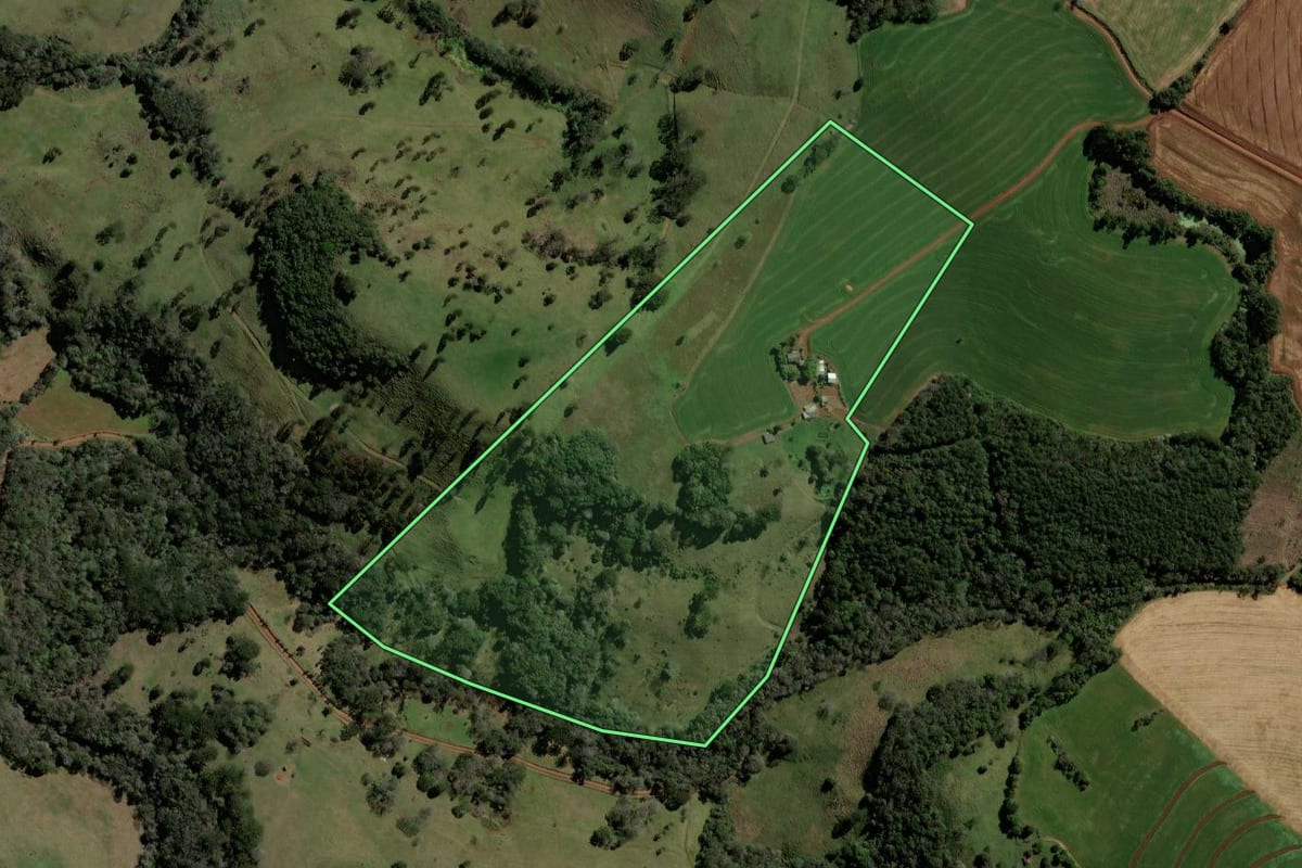 Imagem de satélite do imóvel rural em Pato Branco (PR), com o contorno declarado no CAR desenhado por cima.