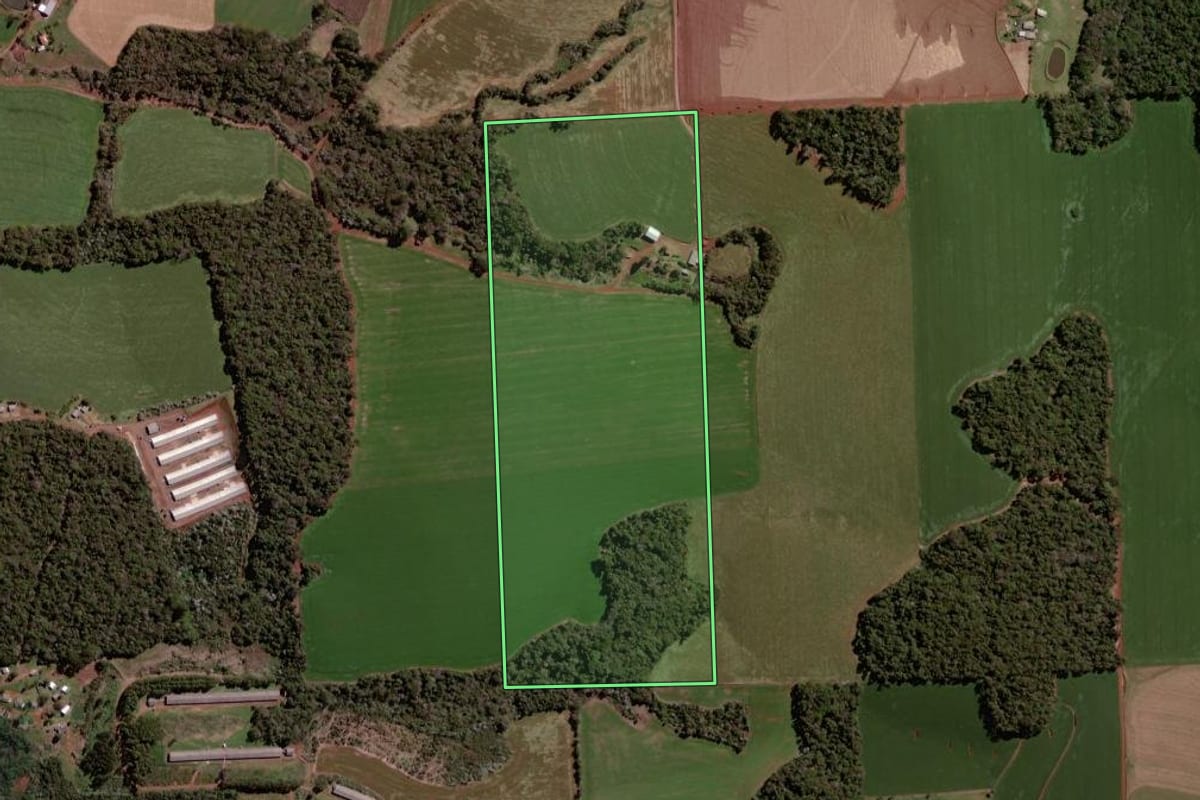 Imagem de satélite do imóvel rural em Pato Branco (PR), com o contorno declarado no CAR desenhado por cima.