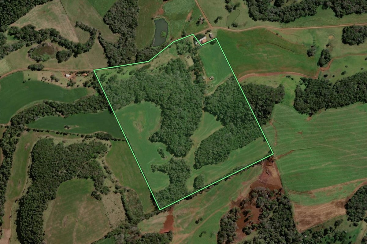 Imagem de satélite do imóvel rural em Pato Branco (PR), com o contorno declarado no CAR desenhado por cima.