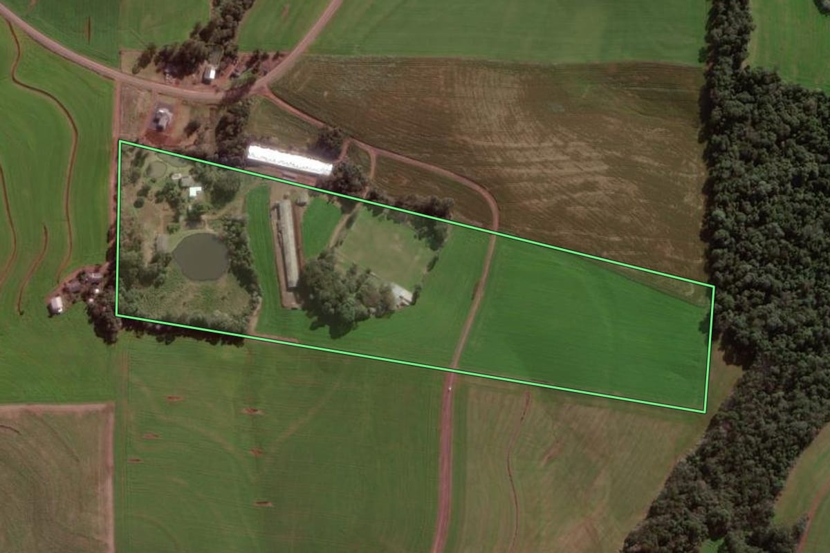 Imagem de satélite do imóvel rural em Pato Branco (PR), com o contorno declarado no CAR desenhado por cima.