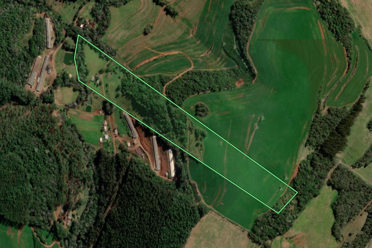 Imagem de satélite do imóvel rural em Pato Branco (PR), com o contorno declarado no CAR desenhado por cima.