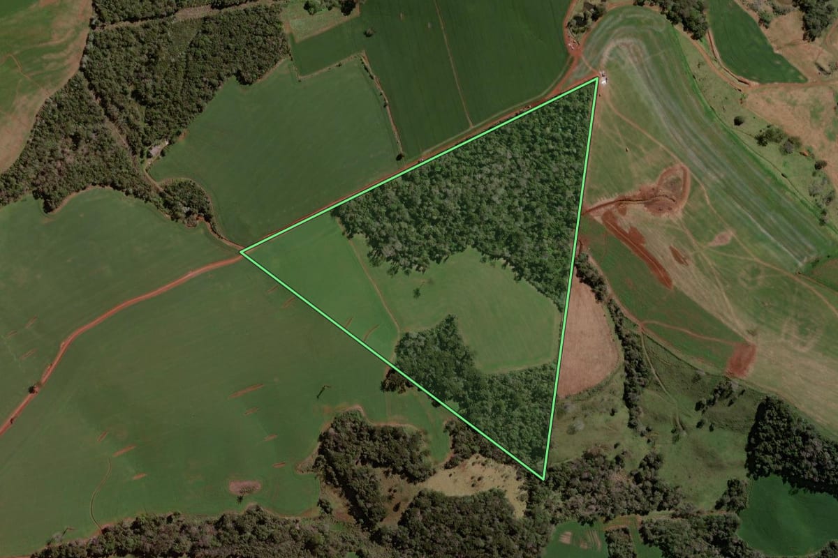 Imagem de satélite do imóvel rural em Pato Branco (PR), com o contorno declarado no CAR desenhado por cima.