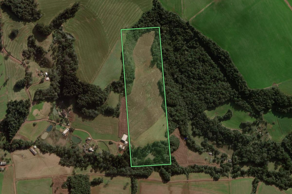 Imagem de satélite do imóvel rural em Pato Branco (PR), com o contorno declarado no CAR desenhado por cima.