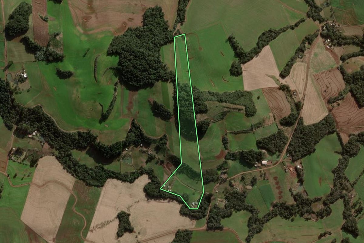 Imagem de satélite do imóvel rural em Pato Branco (PR), com o contorno declarado no CAR desenhado por cima.