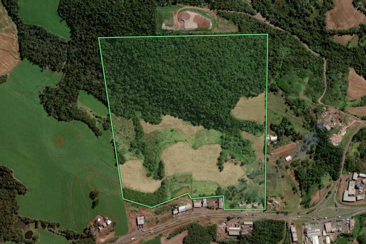 Imagem de satélite do imóvel rural em Pato Branco (PR), com o contorno declarado no CAR desenhado por cima.
