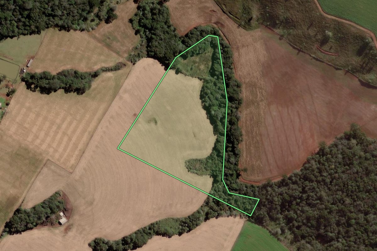 Imagem de satélite do imóvel rural em Pato Branco (PR), com o contorno declarado no CAR desenhado por cima.