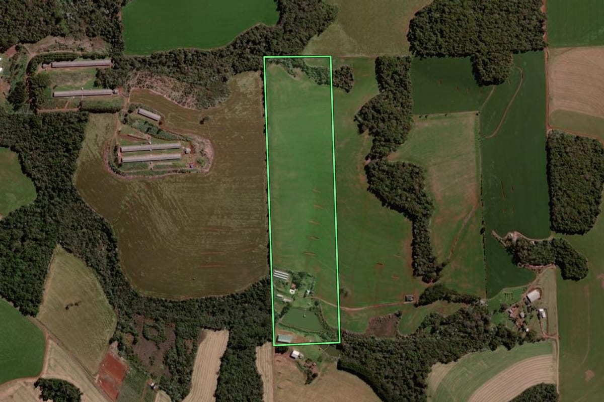 Imagem de satélite do imóvel rural em Pato Branco (PR), com o contorno declarado no CAR desenhado por cima.