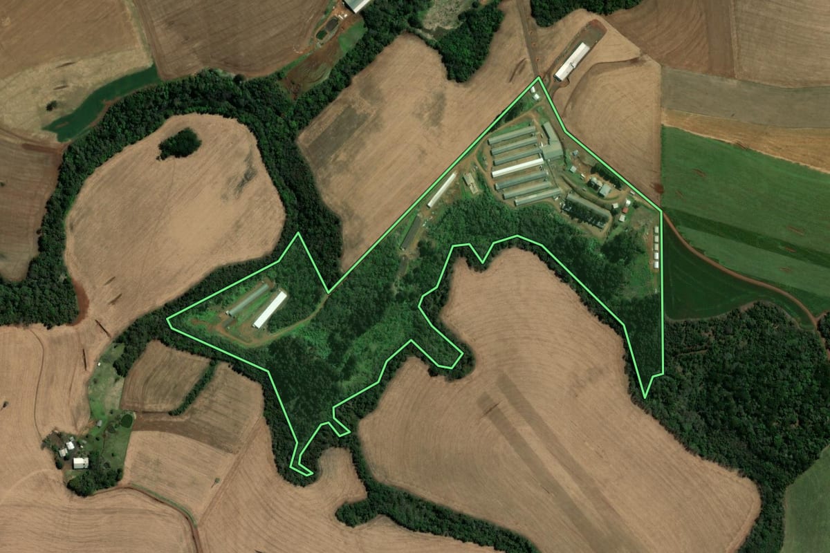Imagem de satélite do imóvel rural em Pato Branco (PR), com o contorno declarado no CAR desenhado por cima.