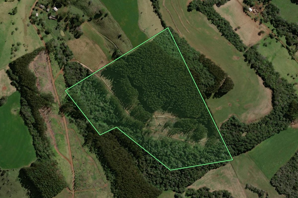 Imagem de satélite do imóvel rural em Pato Branco (PR), com o contorno declarado no CAR desenhado por cima.