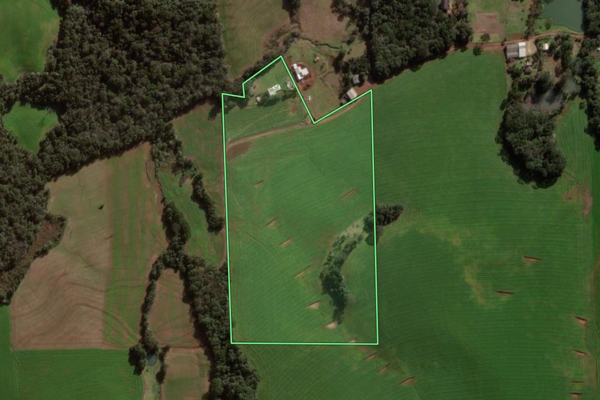 Imagem de satélite do imóvel rural em Pato Branco (PR), com o contorno declarado no CAR desenhado por cima.