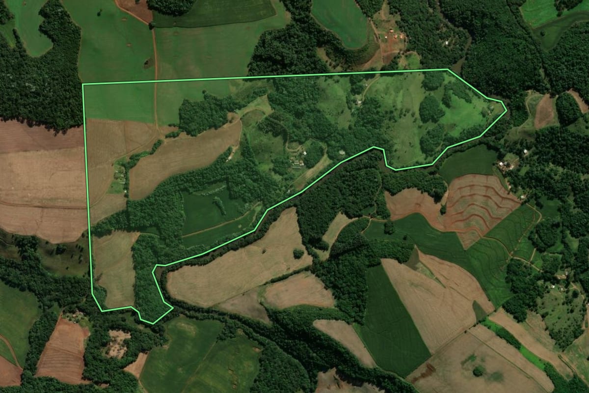 Imagem de satélite do imóvel rural em Pato Branco (PR), com o contorno declarado no CAR desenhado por cima.