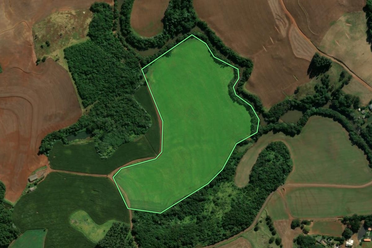 Imagem de satélite do imóvel rural em Pato Branco (PR), com o contorno declarado no CAR desenhado por cima.