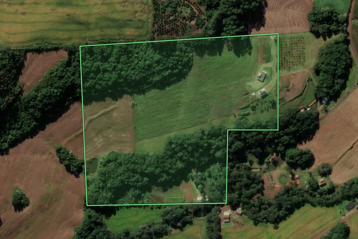 Imagem de satélite do imóvel rural em Pato Branco (PR), com o contorno declarado no CAR desenhado por cima.