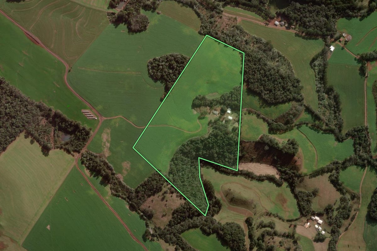 Imagem de satélite do imóvel rural em Pato Branco (PR), com o contorno declarado no CAR desenhado por cima.