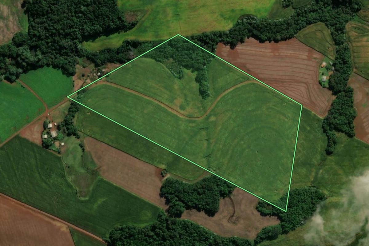 Imagem de satélite do imóvel rural em Pato Branco (PR), com o contorno declarado no CAR desenhado por cima.