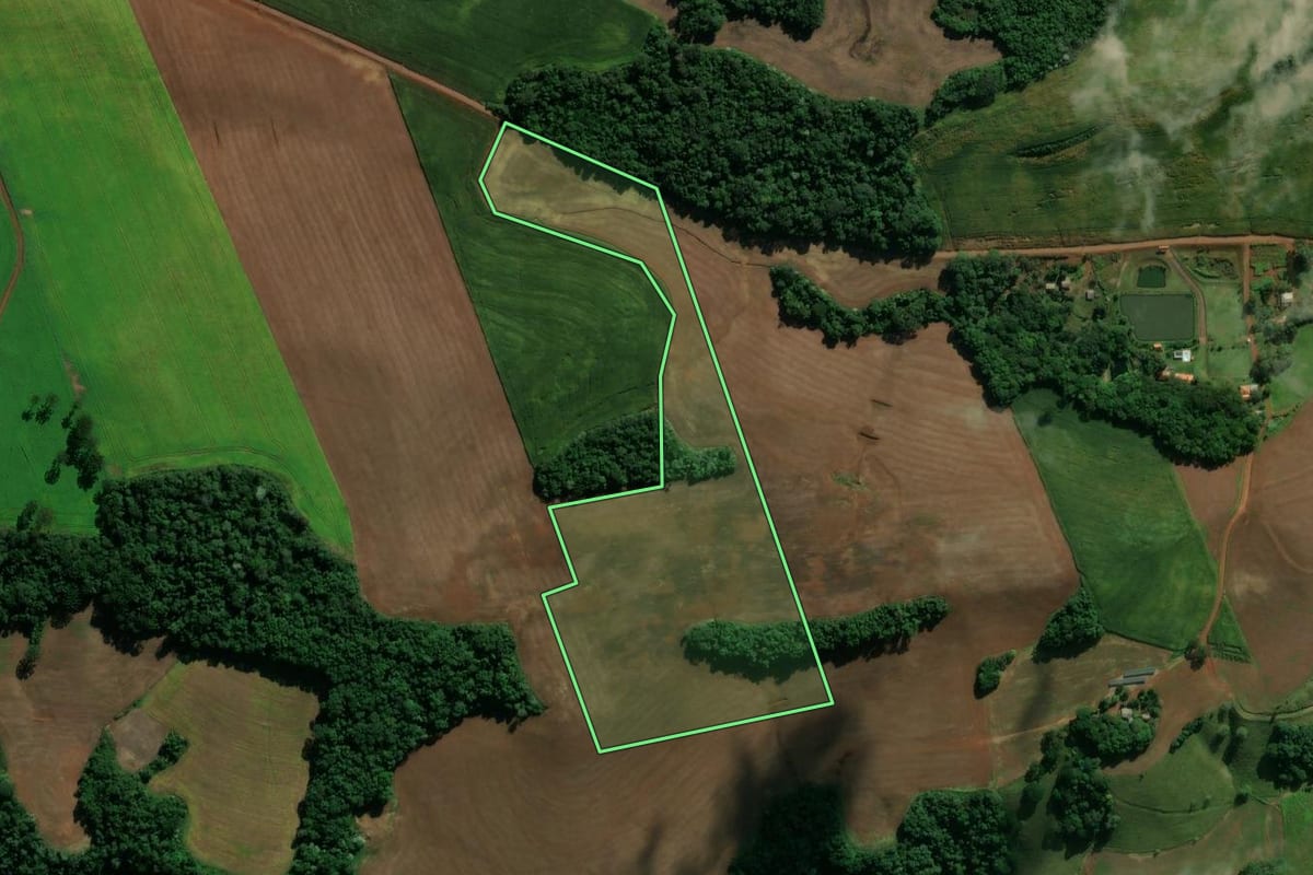 Imagem de satélite do imóvel rural em Pato Branco (PR), com o contorno declarado no CAR desenhado por cima.