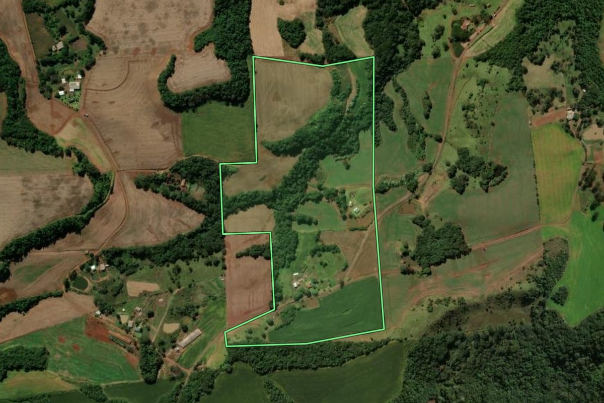 Imagem de satélite do imóvel rural em Pato Branco (PR), com o contorno declarado no CAR desenhado por cima.