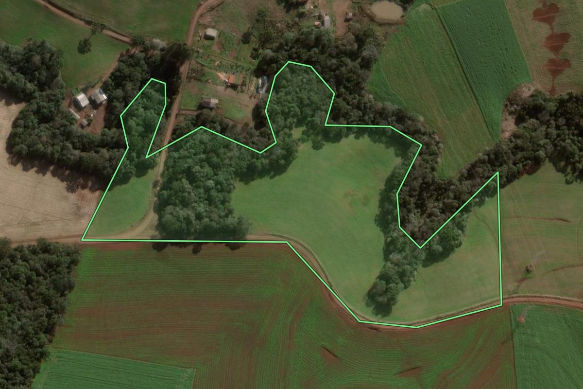 Imagem de satélite do imóvel rural em Pato Branco (PR), com o contorno declarado no CAR desenhado por cima.