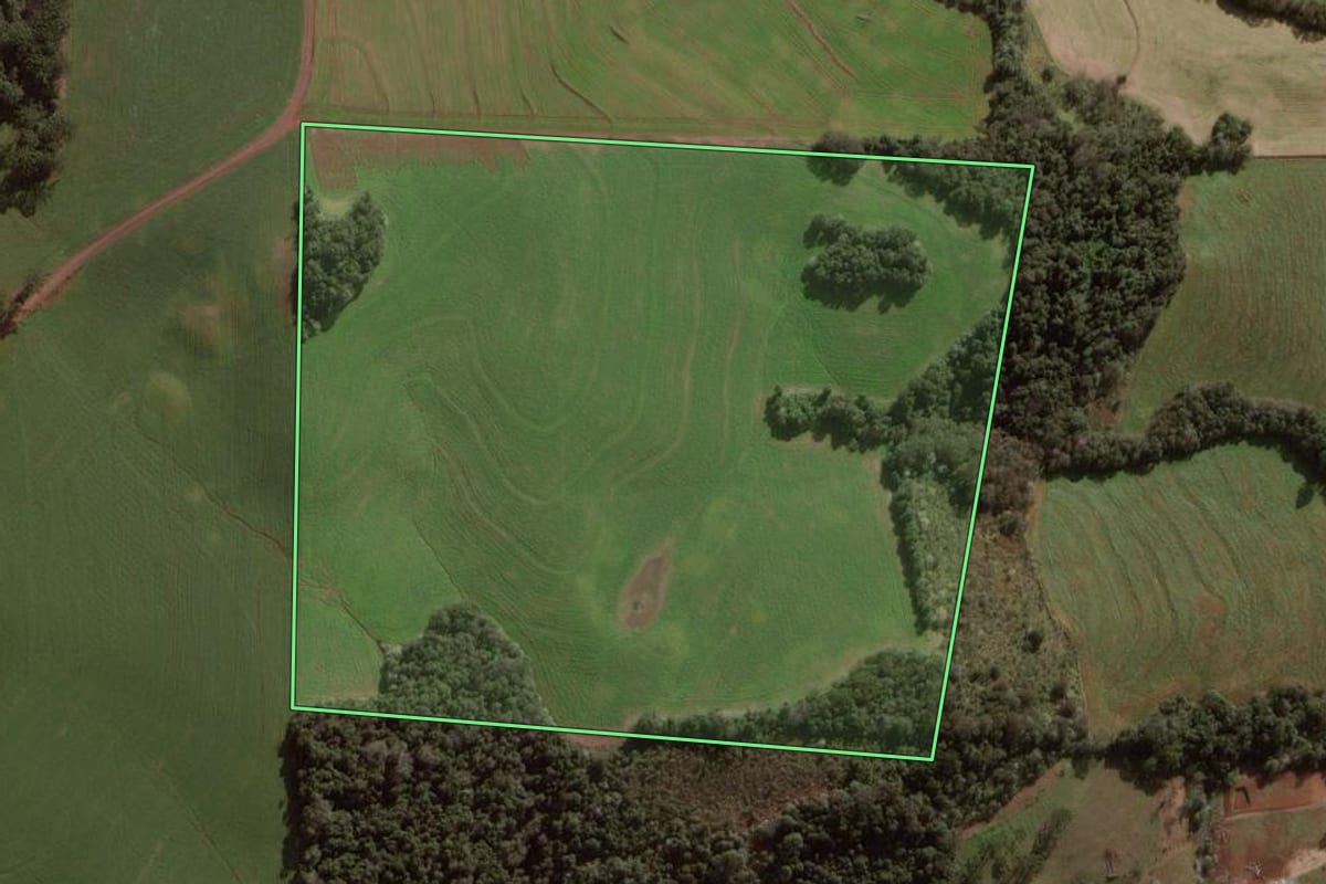 Imagem de satélite do imóvel rural em Pato Branco (PR), com o contorno declarado no CAR desenhado por cima.