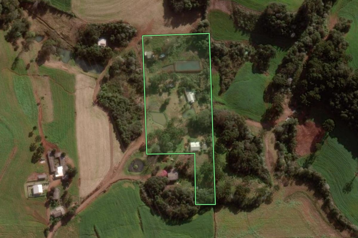 Imagem de satélite do imóvel rural em Pato Branco (PR), com o contorno declarado no CAR desenhado por cima.