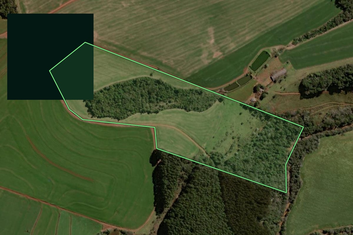 Imagem de satélite do imóvel rural em Pato Branco (PR), com o contorno declarado no CAR desenhado por cima.