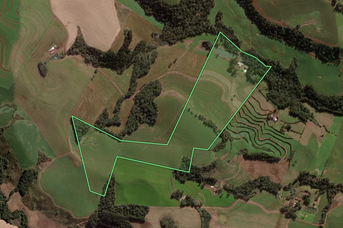 Imagem de satélite do imóvel rural em Pato Branco (PR), com o contorno declarado no CAR desenhado por cima.