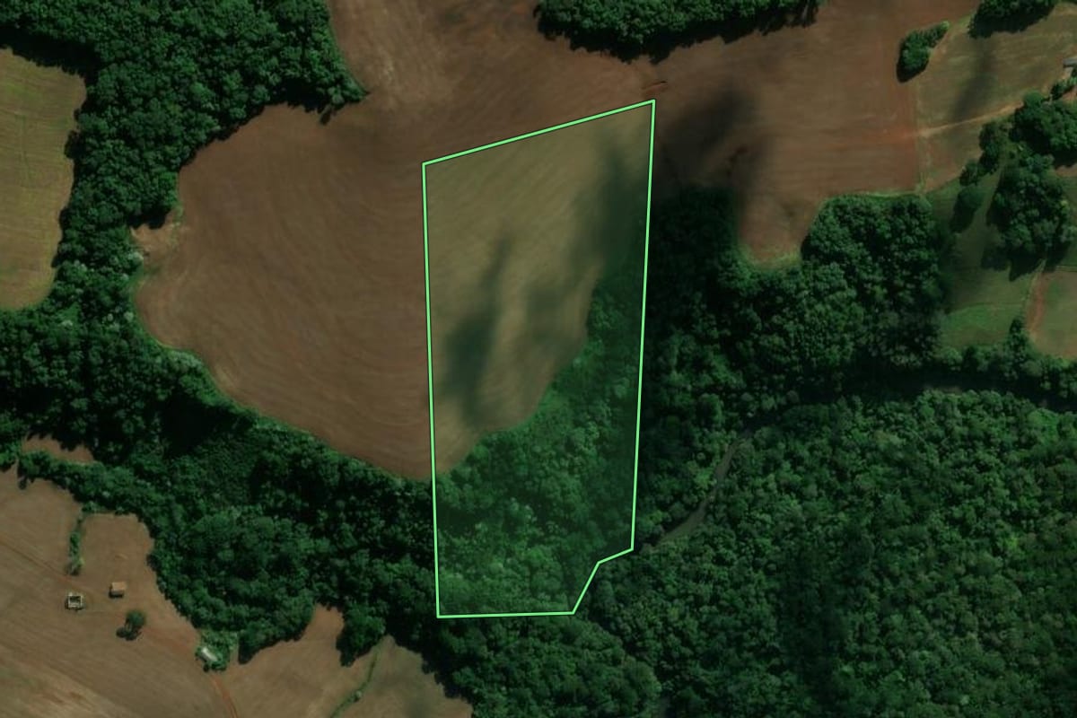 Imagem de satélite do imóvel rural em Pato Branco (PR), com o contorno declarado no CAR desenhado por cima.